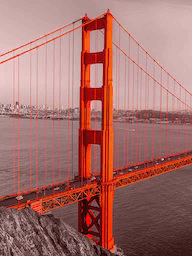 Kelime Gezmece San Francisco Golden Gate Cevapları
