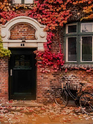 Kelime Gezmece Kopenhag Sonbahar Seviye 4 Cevapları